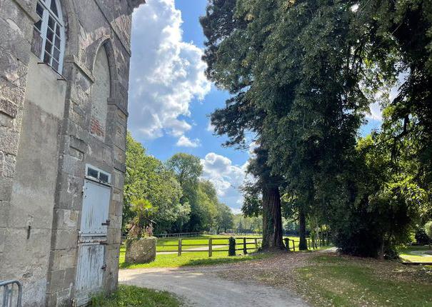 visite scolaires arbres de vie haras