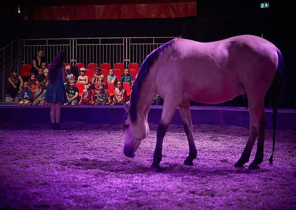 scolaires chapiteau haras hennebont