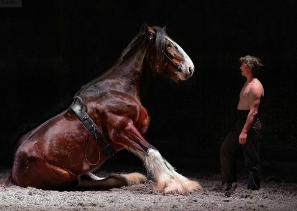 artiste et cheval en piste