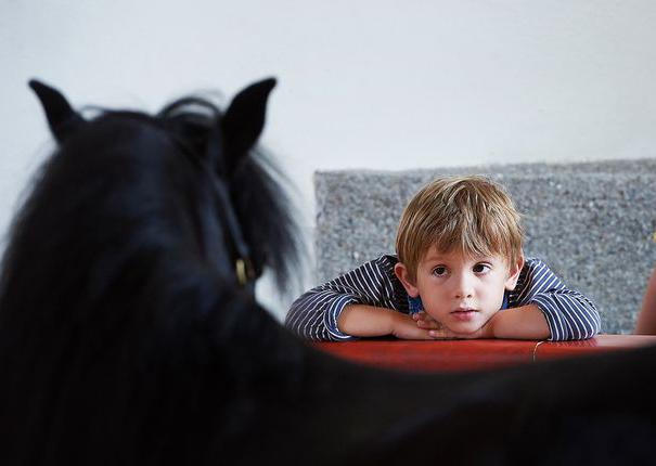 un enfant regarde un cheval au haras hennebont