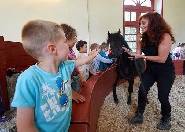 une animatrice présente un cheval aux enfants au Haras d'Hennebont