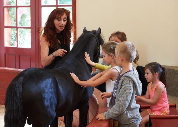 les enfants caressent un poney au haras hennebont