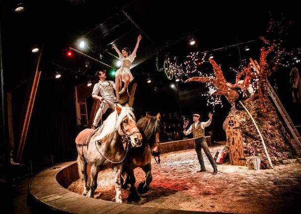 Spectacle équestre de Noël au Haras d'Hennebont