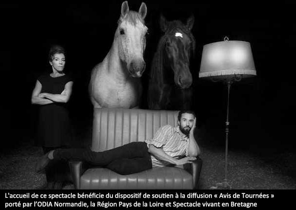Spectacle équestre regards sur la mécanique amoureuse