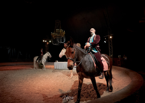 spectacle été 2025 haras hennebont