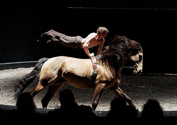 spectacle equestre metamorphoses