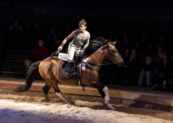 cheval et artiste en piste
