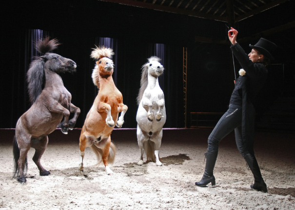 artiste et cheval en piste