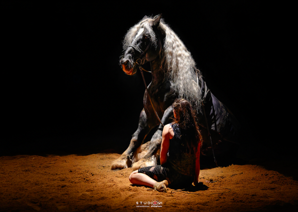 cheval et artiste en piste