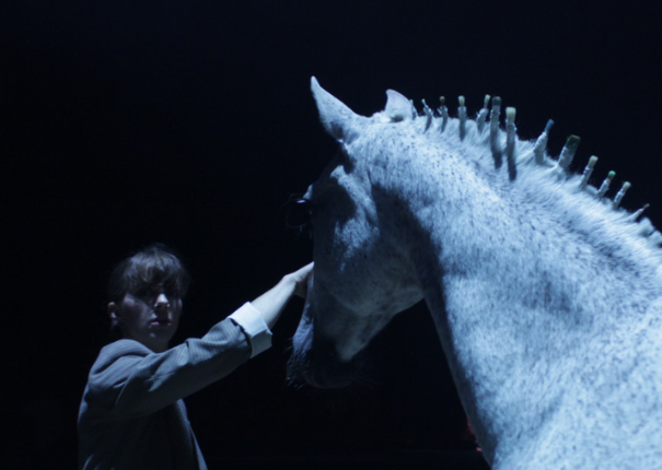 spectacle cheval artiste sur piste intérieure