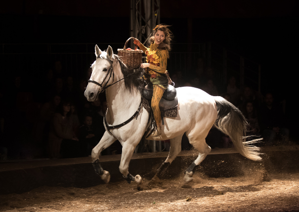 cheval en piste spectacle au haras hennebont