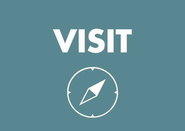 visit schools haras hennebont