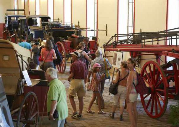 Visite guidée du Haras d'Hennebont