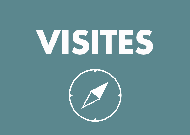 vignette visites scolaires haras