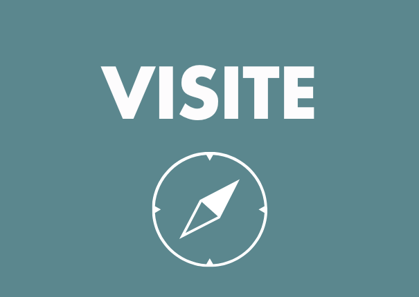 visite scolaire haras hennebont